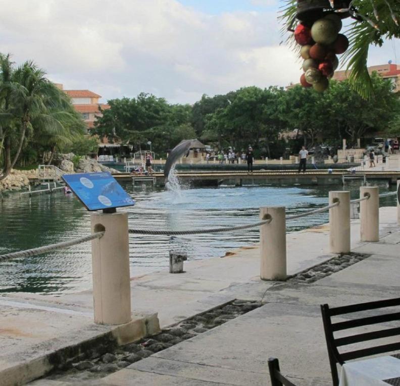 דירות Puerto Aventuras, Departamento A Unos Pasos De La Playa מראה חיצוני תמונה